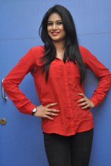 Zara at Bhai Triple Platinum Disc